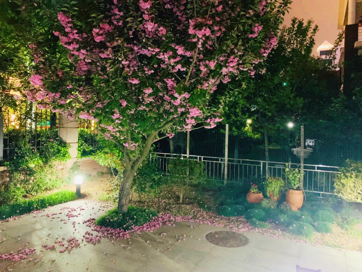 Floral Hotel · Begonia Villa Qingdao Esterno foto